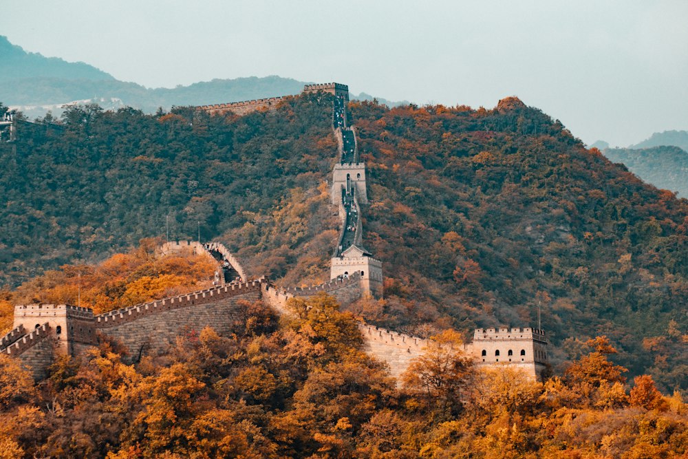Walk through history